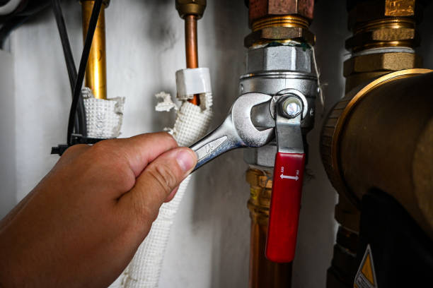 Best Affordable Plumbing Services  in New Chicago, IN